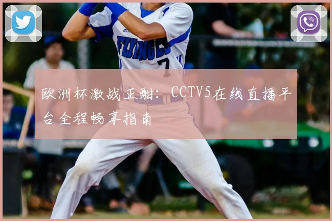 欧洲杯激战正酣：CCTV5在线直播平台全程畅享指南