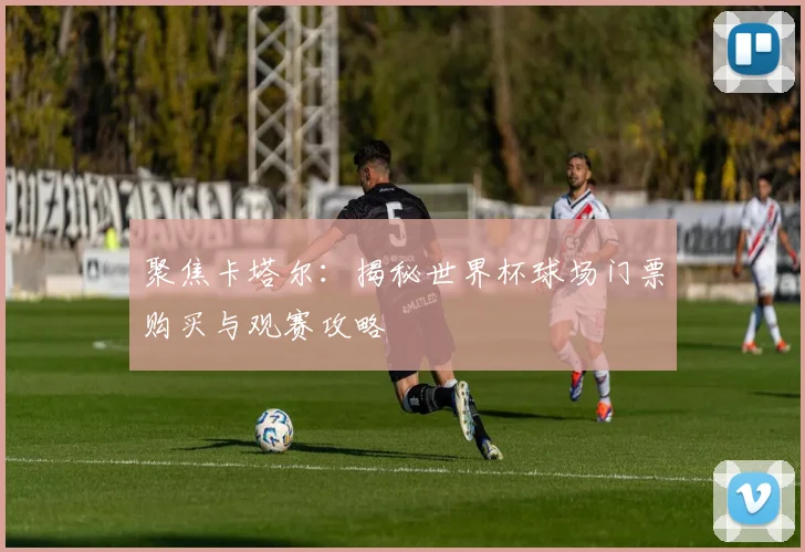 聚焦卡塔尔：揭秘世界杯球场门票购买与观赛攻略