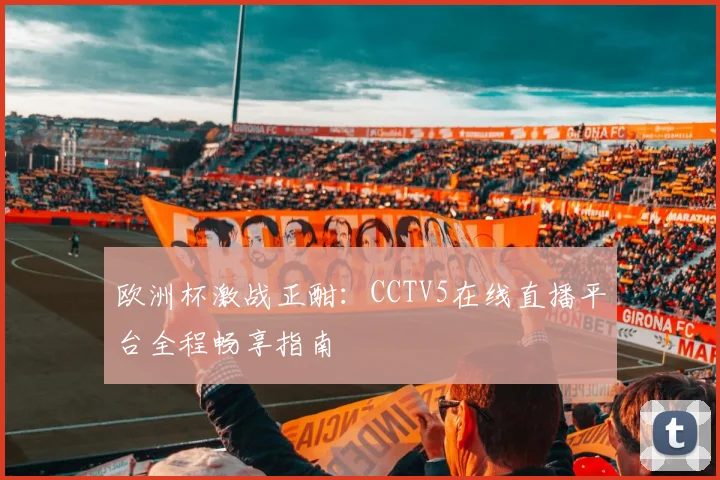 欧洲杯激战正酣：CCTV5在线直播平台全程畅享指南