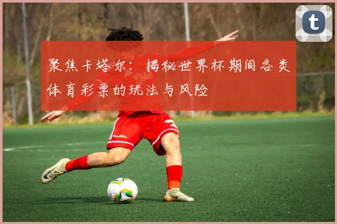 聚焦卡塔尔：揭秘世界杯期间各类体育彩票的玩法与风险